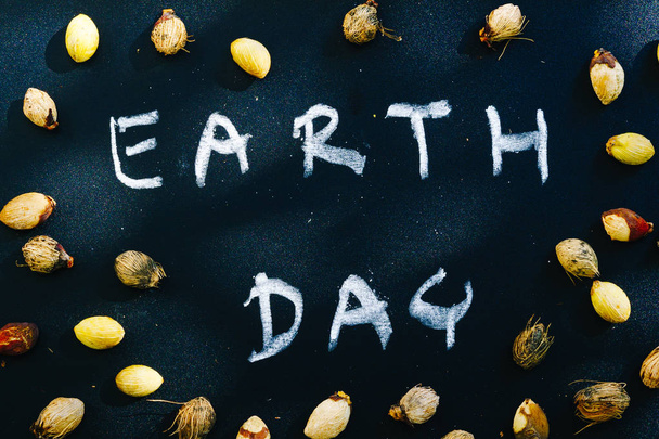 earth day concept, earth day word writing on chalkboard with nat - Fotografie, Obrázek