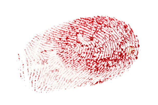 Huella dactilar sangrienta aislada sobre un fondo blanco
 - Foto, imagen