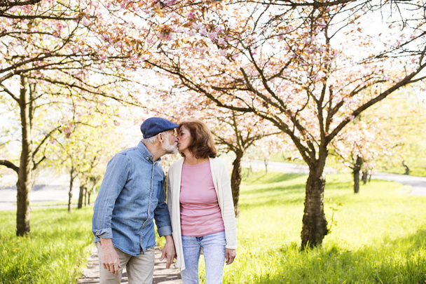 Beautiful senior couple in love outside in spring nature. - Фото, зображення
