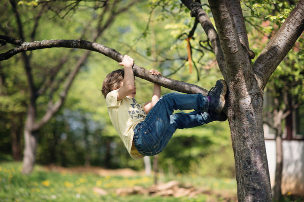 Little boy facing challenge trying to climb a tree. Shallow depth of field. - Foto, Imagem