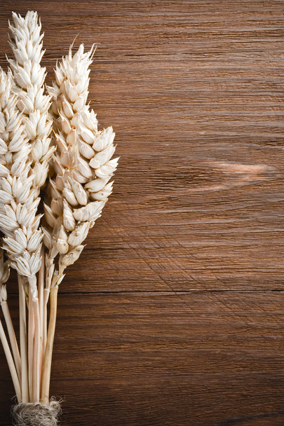 ears of wheat on wood - 写真・画像
