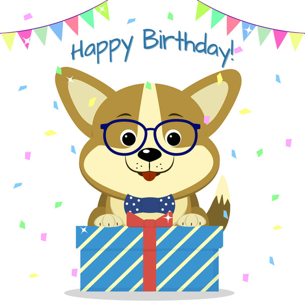 Puppy Corgi in glasses and a bow tie is sitting and holding a box with a gift on the background of confetti and flags. Happy Birthday. - Вектор, зображення