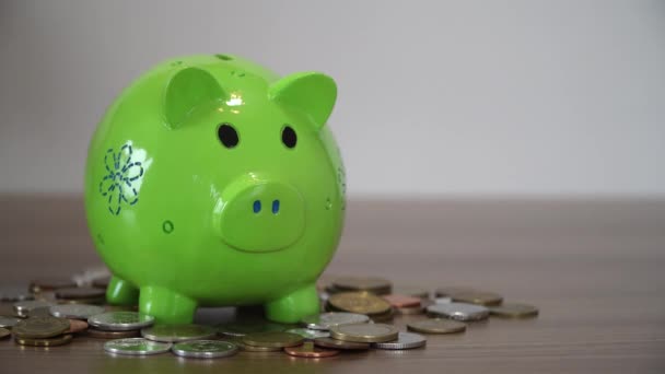 Collect Money In A Saving Pig, Piggy Bank - Footage, Video