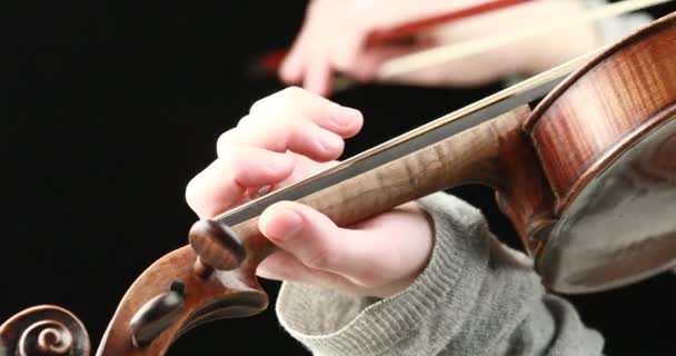 κλασική μουσικός που παίζει μπαρόκ βιολί σε μαύρο φόντο - έννοια ζωντανή δράση closeup χέρια  - Πλάνα, βίντεο