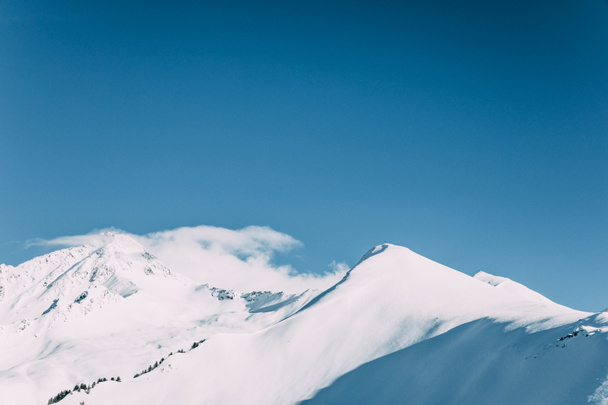 alpen - Foto, afbeelding