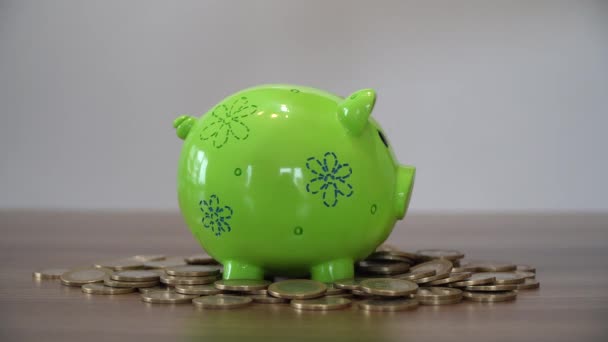 Saving Money. Putting Coins in a Piggy Bank. - Footage, Video