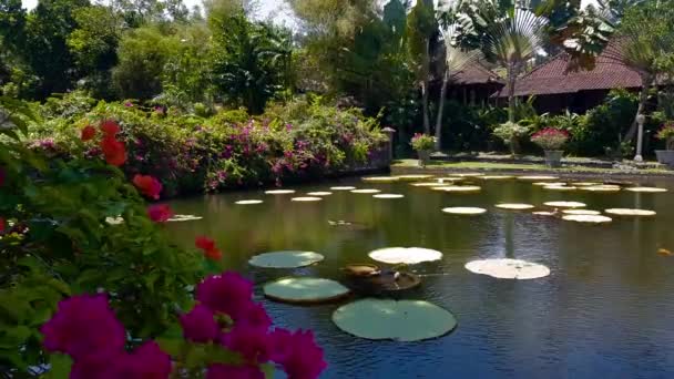 Tirta Gangga - el palacio del agua en Bali
. - Metraje, vídeo