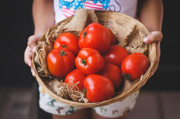 Tomates vermelhos do Vietname
 - Foto, Imagem