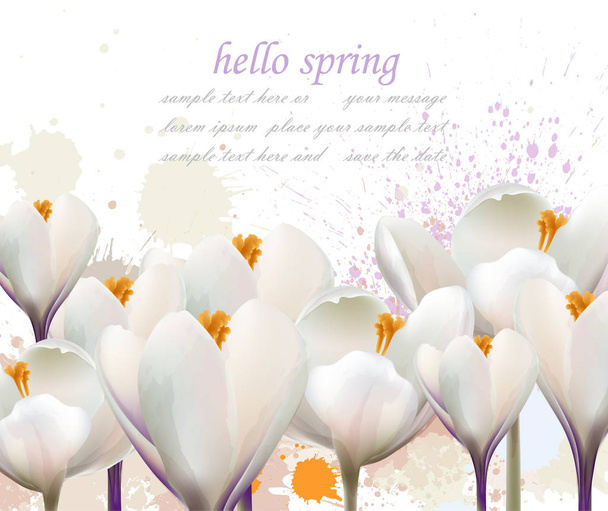 Hello spring white flowers card Vector. Watercolor splash Lovely greeting. Delicate wedding illustration backgrounds - Vektör, Görsel