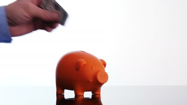 Mão masculina colocando uma nota de dólar em um banco porquinho
 - Filmagem, Vídeo