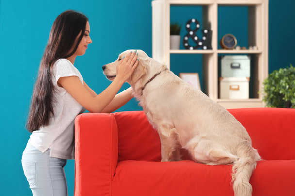 Young woman with dog indoors. Friendship between pet and owner - Foto, Imagen