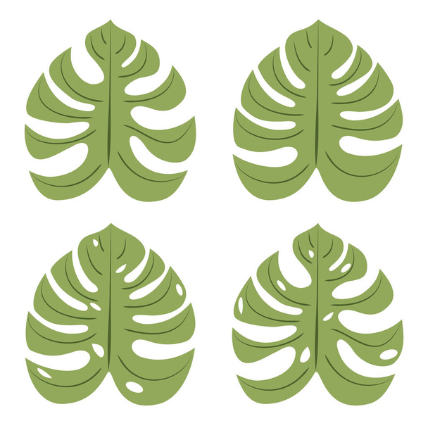 Green Monstera Leaves - Vetor, Imagem