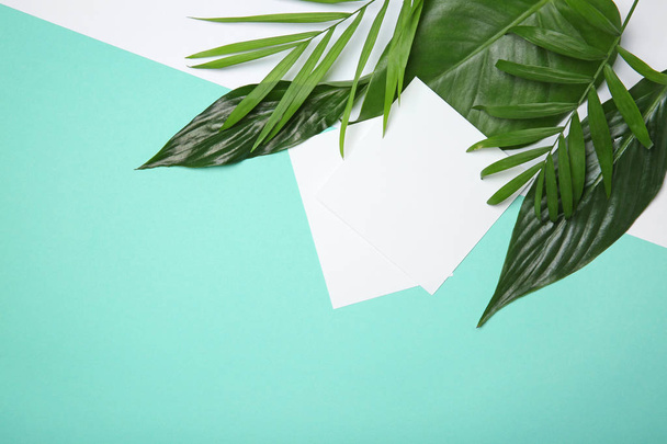 Tropical leaves on color background, flat lay - Photo, image