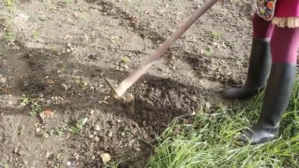ženy připravuje půdu pro sazenice - Záběry, video