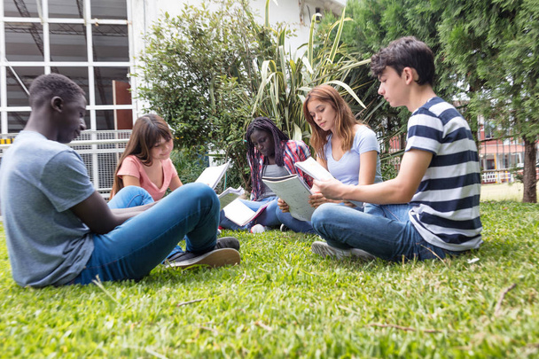 Groep multi etnische tieners maken school huiswerk gezeten op het gras. - Foto, afbeelding