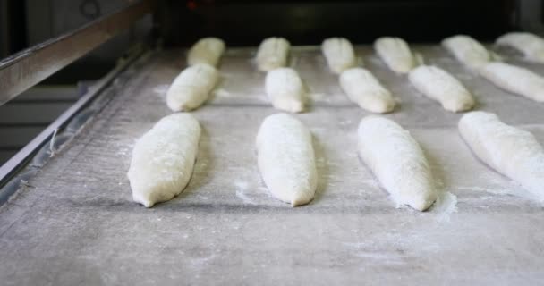 panadero haciendo pan y cocinando en horno industrial. Baguette orgánica hecha a mano estilo francés tradicional delicioso pan de oro. Comida integral hermosa crujiente dorada
.  - Metraje, vídeo
