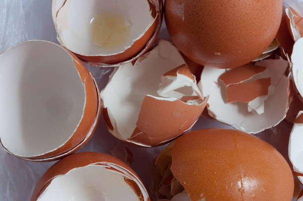 Gusci da uova di gallina rotte. Vista dettagliata
. - Foto, immagini