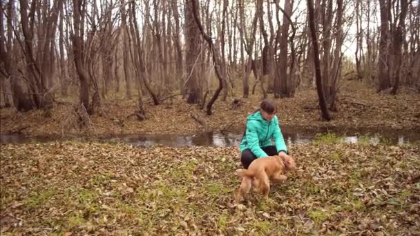 Girl with her dog plays in autumn golden park. Slow motion. - Footage, Video