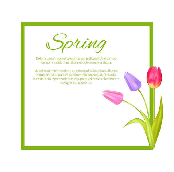 Spring Poster with Text in Frame Colorful Bouquet - Вектор, зображення