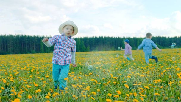 Little boys are playing with bubbles at flowering field - Fotoğraf, Görsel