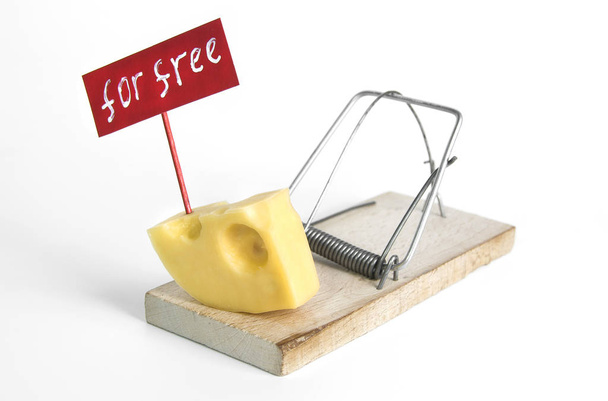 El único queso libre está en la ratonera: ratonera con concepto de atrapamiento de queso y signo libre sobre el fondo blanco aislado
. - Foto, imagen