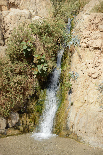 Cascada en las rocas del Mar Muerto de Ein Gedi
 - Foto, Imagen