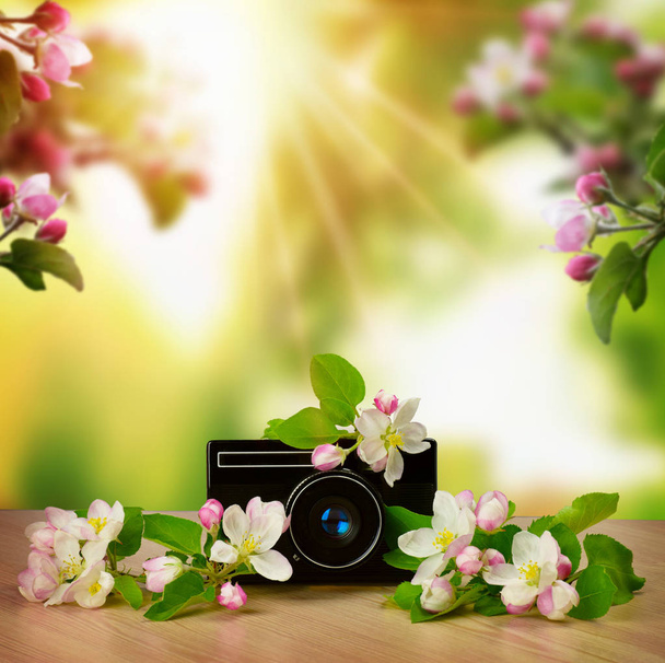 Tavasszal reggel egy Alma gyümölcsös. Retro fényképezőgép és virágzó  - Fotó, kép