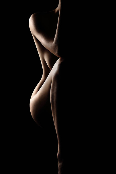Silhouette of nude woman - Photo, image