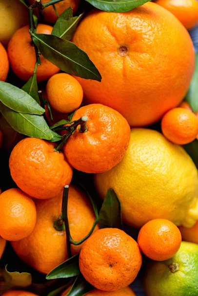 さまざまな柑橘類のクローズ アップ - 写真・画像