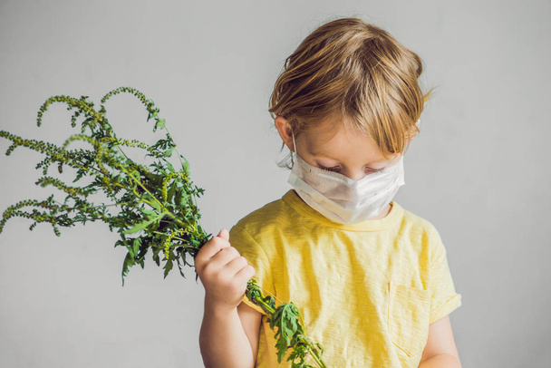 The boy is allergic to ragweed. In a medical mask, he holds a ragweed bush in his hands. Allergy to ambrosia concept.. - Foto, Bild
