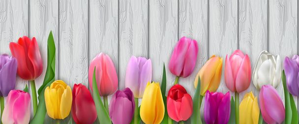 Many beautiful colorful tulips with leaves isolated on a light gray wood planks background. Photo-realistic vector horizontal seamless pattern for festive design, spring flower shop, holiday packing - Vector, Image