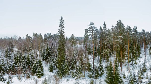 Зимний пейзаж - Фото, изображение
