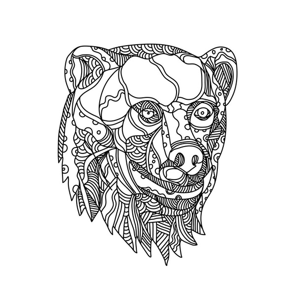 Cabeza de oso marrón Doodle
 - Vector, Imagen