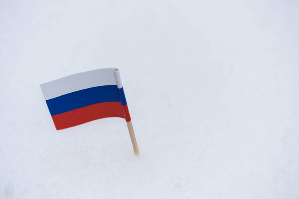 Vlajka Ruska z papíru s hnědou párátko na pozadí bílého sněhu. - Fotografie, Obrázek