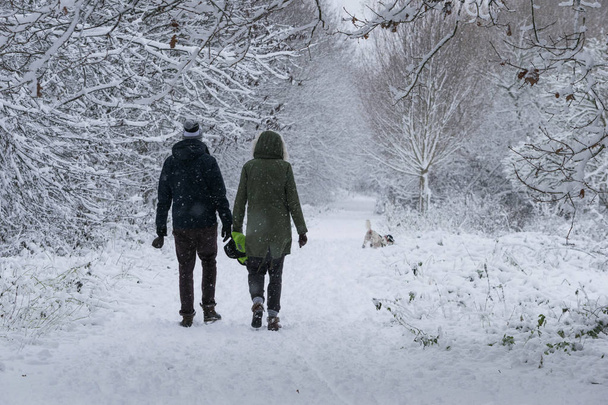 una pareja paseando a su perro en el bosque en un día de fuerte nevada
. - Foto, Imagen