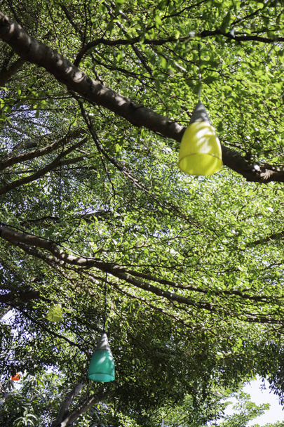 Διακοσμητικά υπαίθρια φως κρέμεται σε δέντρο - Φωτογραφία, εικόνα