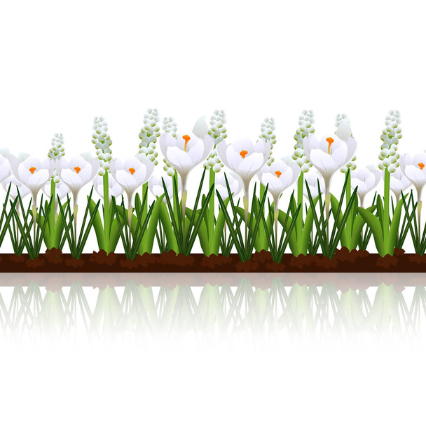 gramado com flores crocos brancos e reflexão
 - Vetor, Imagem