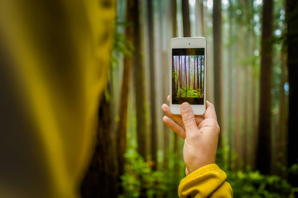 Woman taking photo of forest with smartphone - 写真・画像