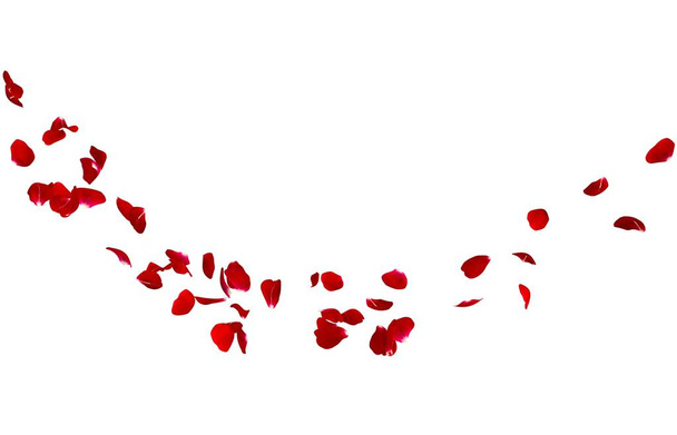 rote Rosenblätter fliegen im Kreis. in der Mitte freier Platz für Ihre Fotos oder Texte - Foto, Bild