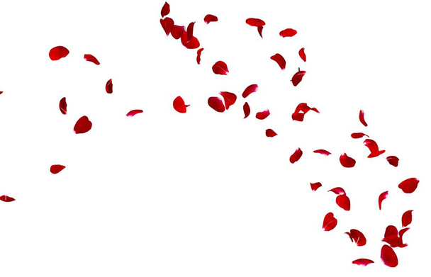 I petali di rosa rossa volano in cerchio. Il centro spazio libero per le tue foto o testo
 - Foto, immagini