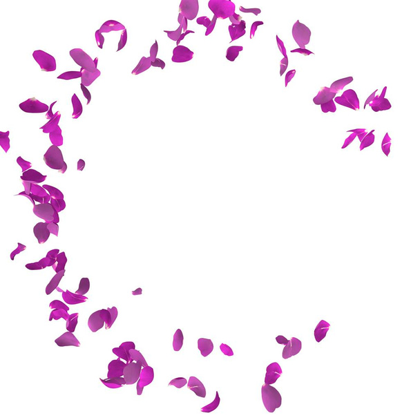 Purple rose petals fly in a circle. The center free space for Your photos or text - Photo, Image