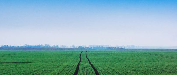 paysage printanier ou estival, un vaste champ avec une route au milieu
 - Photo, image