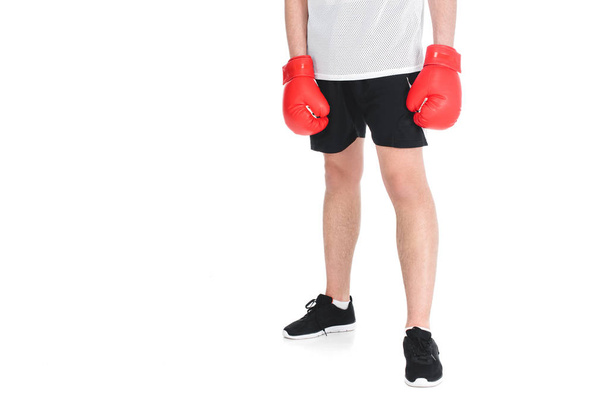Cropped image of young sportsman in boxing gloves isolated on white - Photo, Image