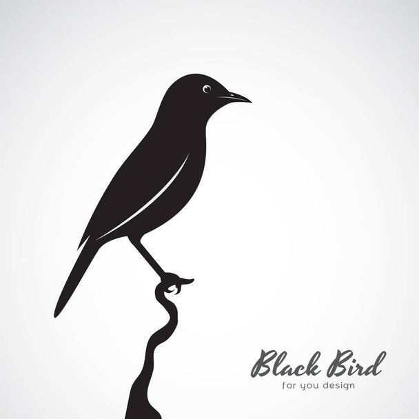 Вектор черной птицы на белом фоне. Животное. Простая пищевая таблица
 - Вектор,изображение