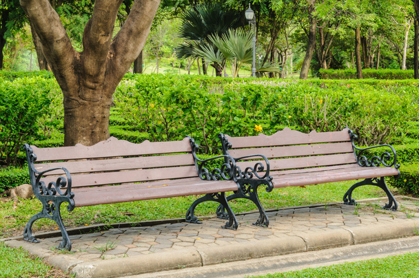 Benches in the park - Photo, Image