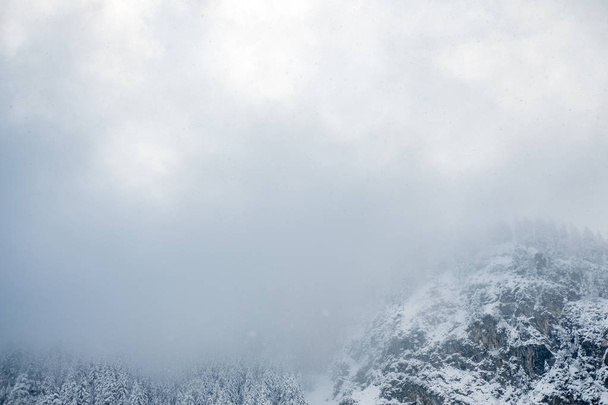 Mlhavo pohled na hory, stromy plné sněhu. - Fotografie, Obrázek