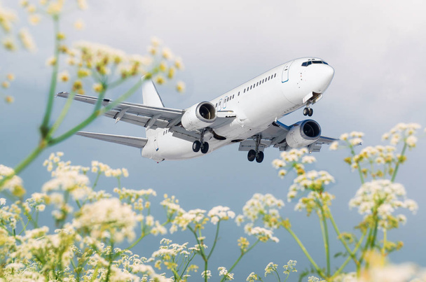 Passenger commercial airplane flies over flower fields at the airport. - Фото, изображение