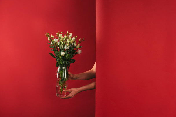 cropped shot of person holding glass vase with beautiful white eustoma flowers on red - Photo, Image