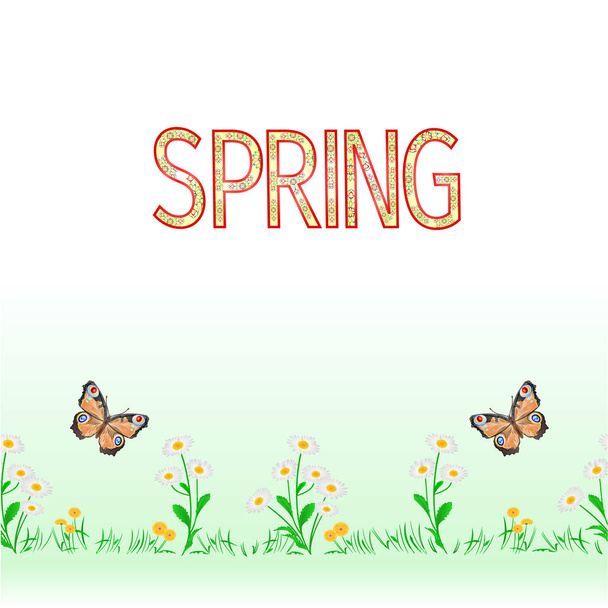 Wiosenny stokrotka bezszwowe tło granicy z motyl motyl wektor ilustracja do użytku w projektowanie wnętrz, grafika, Dania, odzież, pakowanie, pozdrowienia  - Wektor, obraz