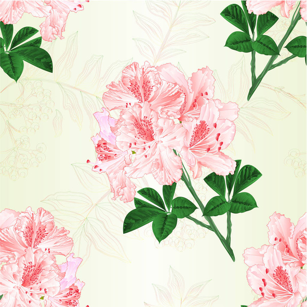 Bezešvých textur květy světle růžové rododendrony větvička horský keř vintage vektorové ilustrace upravitelné ruční kreslení - Vektor, obrázek
